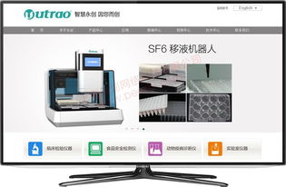 松江网站建设服务全解析 从设计到开发一站式解决方案