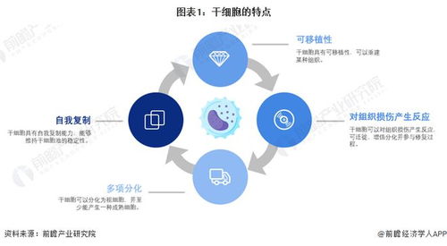 干细胞技术最新预测 裴钢院士强调前沿生物医药产品开发需确保三大核心要素