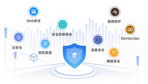 网络安全入门与技术服务的实用学习路径